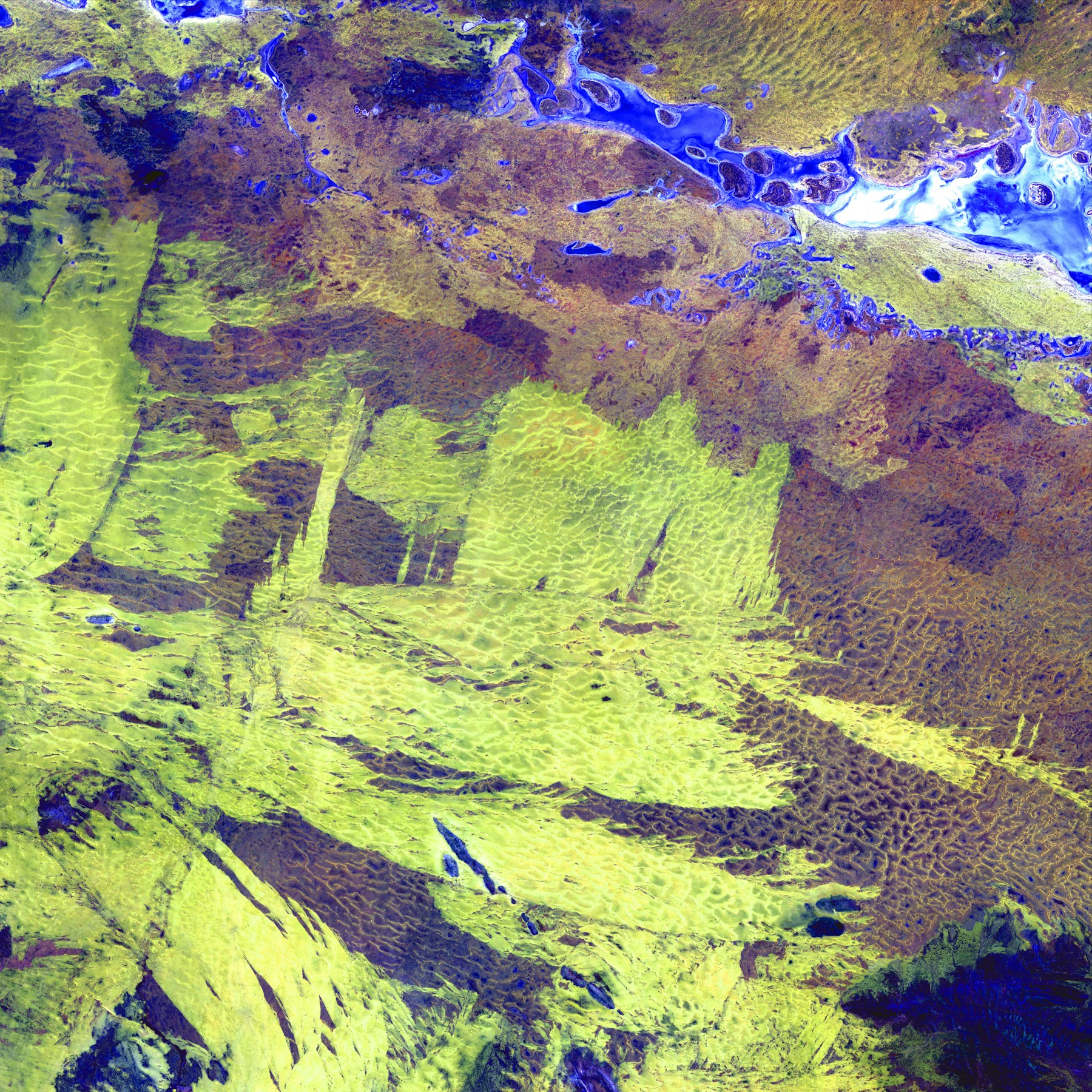 False-colour satellite image used as an abstract geographic context for cross-regional research